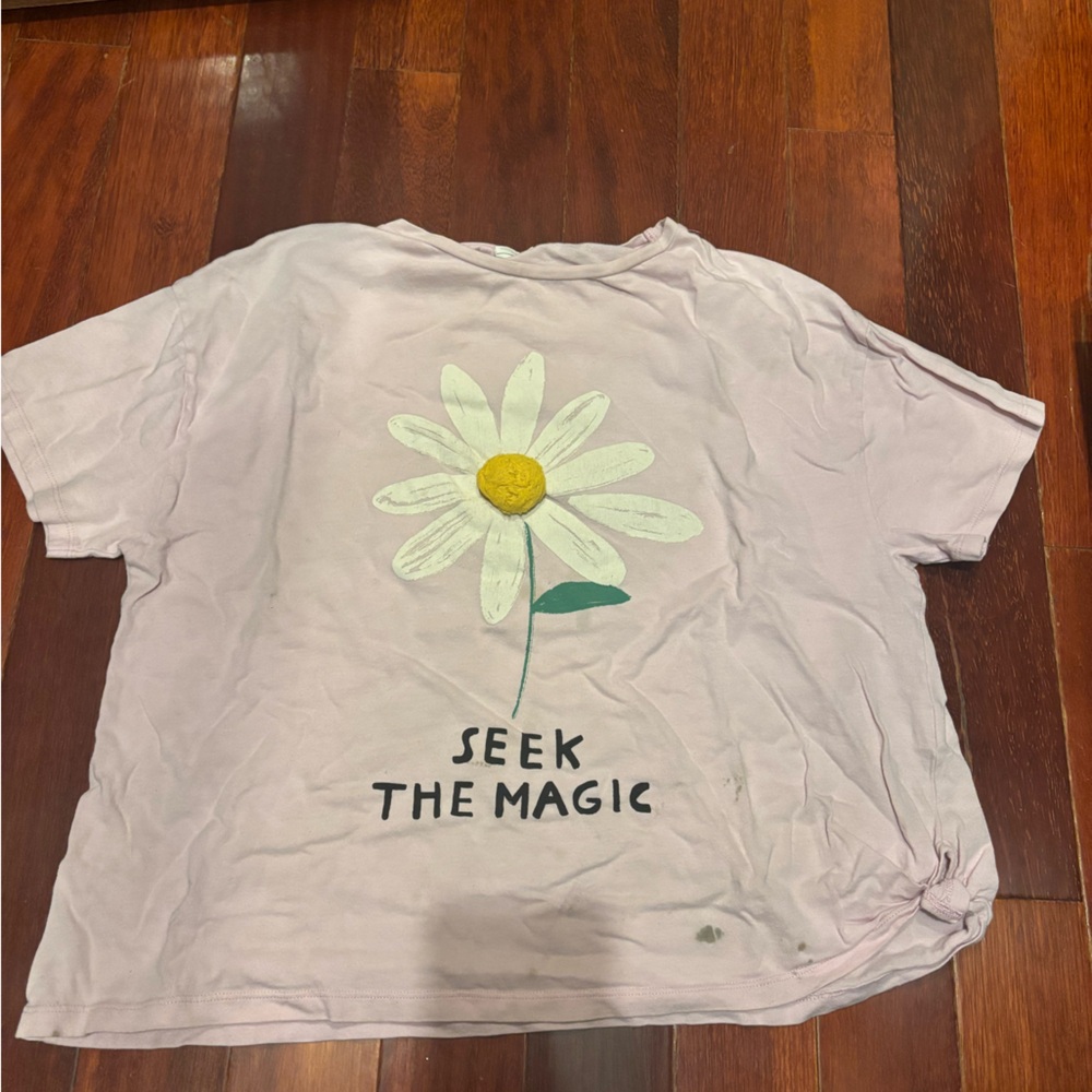 Zara Light Pink Tee with Daisy Graphic